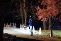 Germany: Move towards tightening gun possession laws after foiling a plot aimed at overthrowing the government