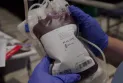 Few Canadians plan to donate blood and plasma during the holiday season despite the great need