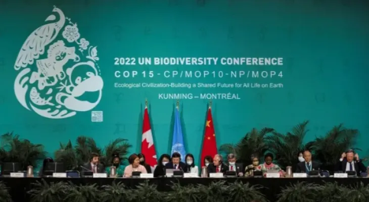 Biodiversity Conference: Lack of Trust Undermines Progress in Talks