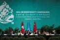 Biodiversity Conference: Lack of Trust Undermines Progress in Talks