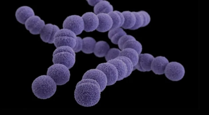 Public health urges doctors to exercise caution following the death of two children from Strep A infection