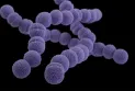 Public health urges doctors to exercise caution following the death of two children from Strep A infection