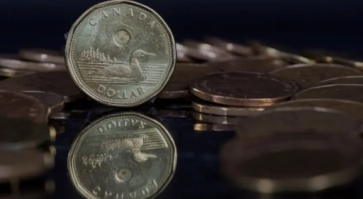 After a strong year for the Canadian economy... high interest rates will lead to significant losses