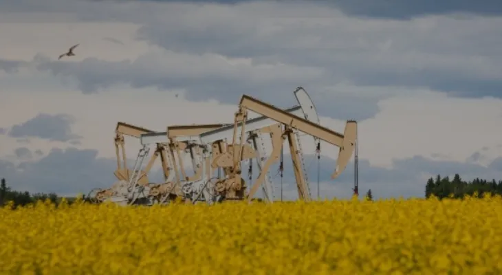 Analysts: Canadian oil is likely to slightly exceed the production record of 2022 but only marginally