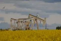 Analysts: Canadian oil is likely to slightly exceed the production record of 2022 but only marginally