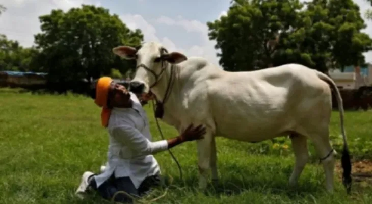 India: Hindus kill a Muslim for possessing beef