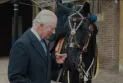The Royal Canadian Mounted Police presents King Charles with a new horse