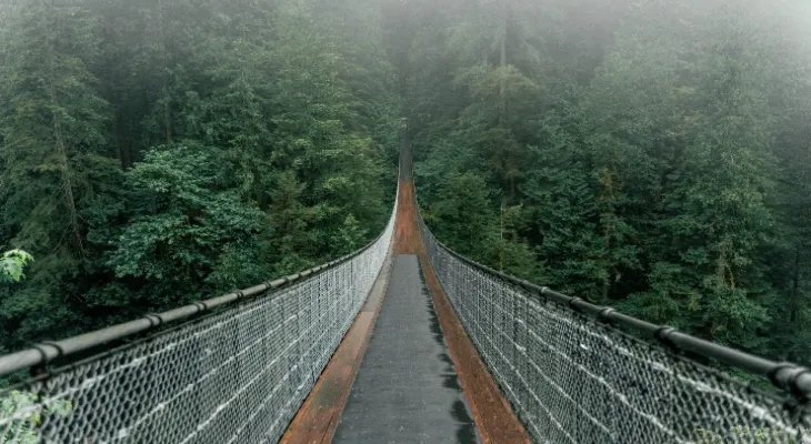 A trail in British Columbia features a suspension bridge that will take you to a hidden beach