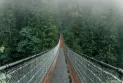 A trail in British Columbia features a suspension bridge that will take you to a hidden beach