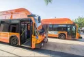 Soon, children will be able to ride public transportation for free in Mississauga
