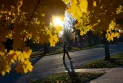 Weather Network: Multiple areas in Canada expect temperatures to reach 20 degrees Celsius this week