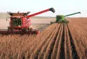 More than 40% of farmers will retire by 2033 in Canada