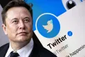 Texts and videos that generate profits on Twitter... Elon Musk's new update