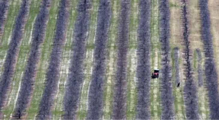 Report: The future of agriculture in Canada is at risk unless 30,000 immigrants fill the gap of retiring farmers