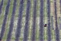 Report: The future of agriculture in Canada is at risk unless 30,000 immigrants fill the gap of retiring farmers