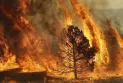 Alberta declares a state of emergency and evacuates 25,000 people from their homes due to devastating fires