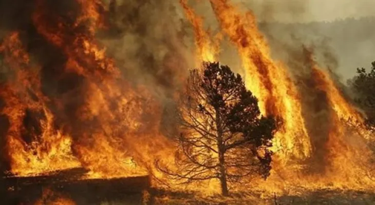 Alberta: Weather changes help in fighting fires