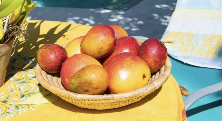 Amazing health benefits of eating mango.. Protects against serious diseases