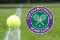 Tightening security measures with the start of the Wimbledon Championship to prevent protests