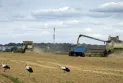 Suspension of the grain shipment agreement between Russia and Ukraine is a blow to global food security