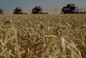 Global anger over Russia's decision to end the implementation of the Black Sea initiative