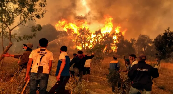 Algeria: 15 people killed and 26 others injured due to forest fires