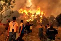 Algeria: 15 people killed and 26 others injured due to forest fires