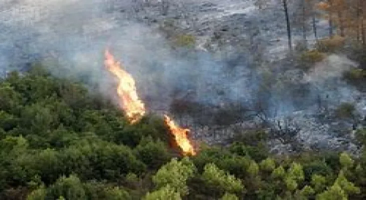 Wildfires cause the death of 34 people in Algeria