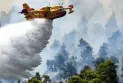 A Canadian airplane crashed while fighting wildfires in Greece with two on board.