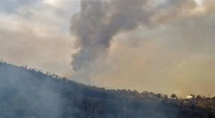 Algeria announces control over forest fires and compensation for the affected.