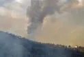Algeria announces control over forest fires and compensation for the affected.