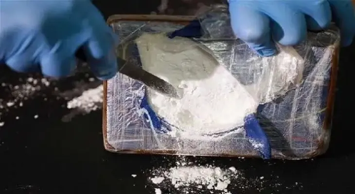 Arrest of a man in possession of 63 kilograms of cocaine on the border between Canada and the United States.