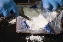 Arrest of a man in possession of 63 kilograms of cocaine on the border between Canada and the United States.