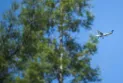 Calgary: 6 killed in small plane crash