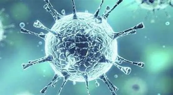 Scientists discover antibodies that can neutralize coronavirus variants, preventing the spread of the virus in the future.