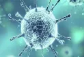 Scientists discover antibodies that can neutralize coronavirus variants, preventing the spread of the virus in the future.