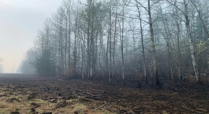 Issuing an evacuation order for a town in western Canada as wildfires flare up from the United States.