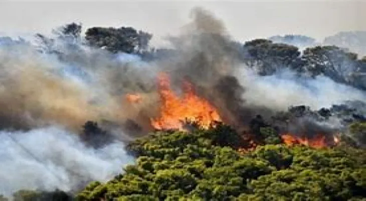 The Greek government is planning to tighten penalties for arson following a wave of wildfires.