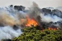 The Greek government is planning to tighten penalties for arson following a wave of wildfires.