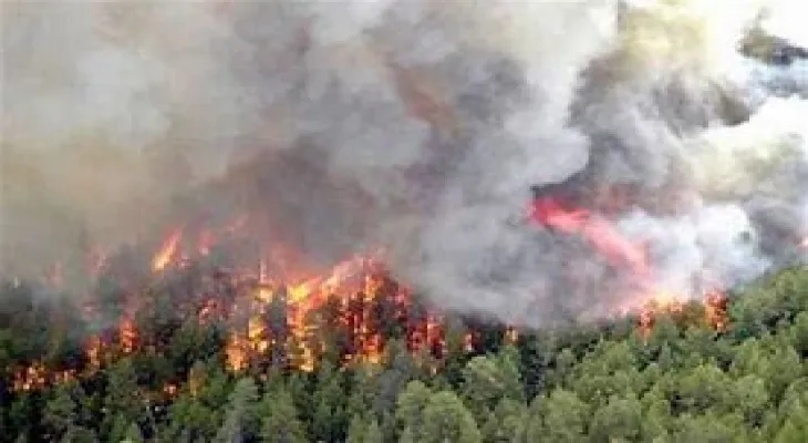 Official: Increased wind speed poses a challenge in combating wildfires in British Columbia.