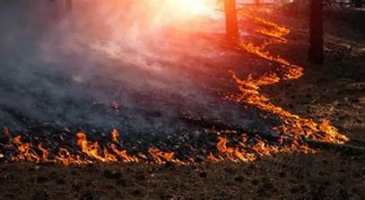 Wildfires affect tourism activity in British Columbia.