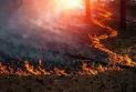 Wildfires affect tourism activity in British Columbia.