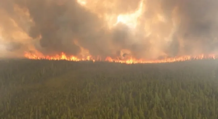 Record carbon emissions due to forest fires in Canada