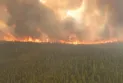 Record carbon emissions due to forest fires in Canada