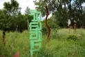A Canadian artist transforms Montreal into an outdoor exhibition featuring more than 200 sculptures.