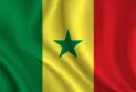 Senegal: Foiling a terrorist attack attempt in the capital, Dakar