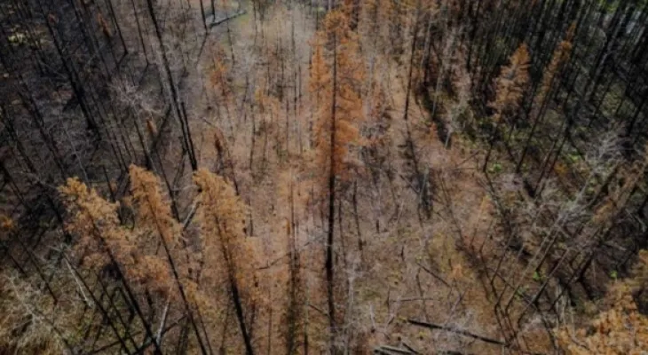 Déploiement des forces armées canadiennes pour lutter contre les incendies de forêt...