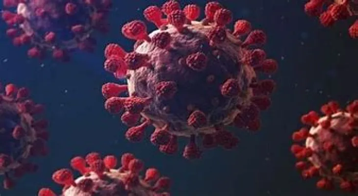 Canada's health: Coronavirus activity shows early signs of increasing in the country