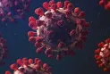 Canada's health: Coronavirus activity shows early signs of increasing in the country
