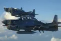 Mali and Burkina Faso are sending warplanes to Niger.